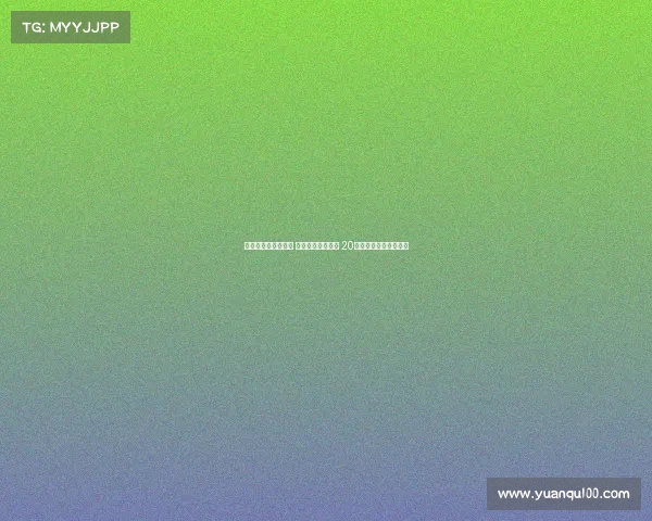 韩鹏谈年轻球员成长 中乙实战机会珍贵 20岁在中超立足仍是挑战