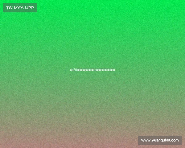 英超20队夏季转会窗口评级解析 利物浦强势表现枪手稍逊一筹